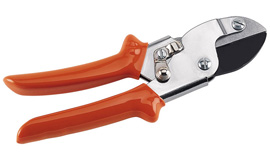 Rosensaks Amboss PG 25