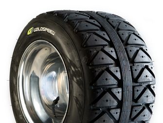 Goldspeed 225/40-10 bagdæk motard